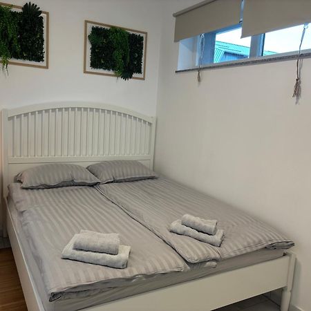 Apartmaji Cepon Ljubljana Dış mekan fotoğraf